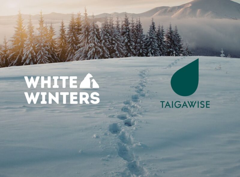 Snowy winter landscape with a trail of footprints leading toward a forest and mountains, featuring the White Winters and Taigawise logos.